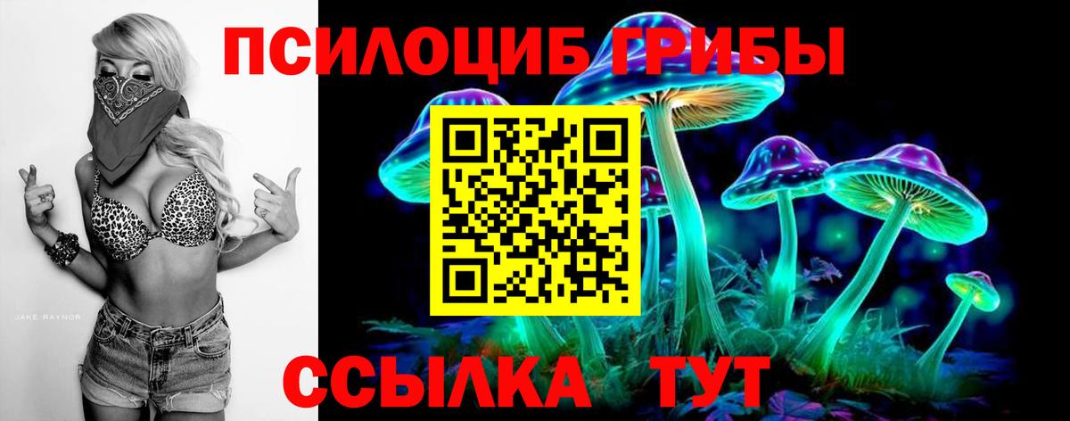 Галлюциногенные грибы GOLDEN TEACHER  Псилоцибиновые грибы GOLDEN TEACHER  Вход с VPN  купить наркотики сайты  Заводоуковск 